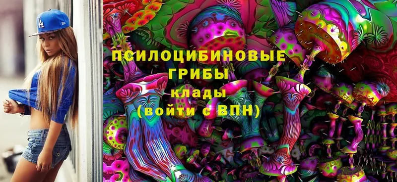 Псилоцибиновые грибы Magic Shrooms  shop клад  Лыткарино 